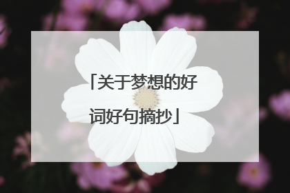 关于梦想的好词好句摘抄