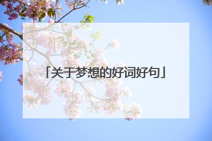 关于梦想的好词好句