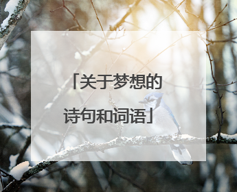关于梦想的诗句和词语