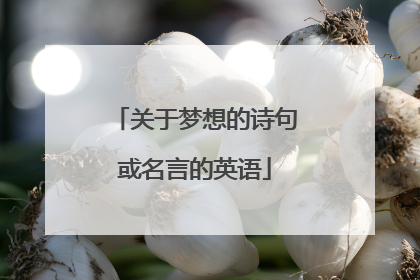 关于梦想的诗句或名言的英语