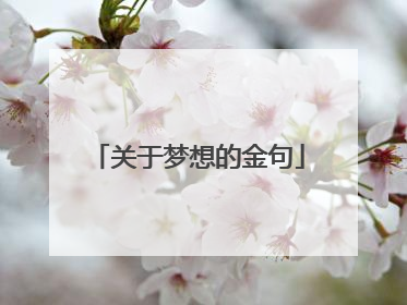 关于梦想的金句