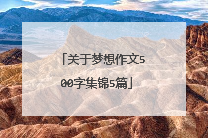 关于梦想作文500字集锦5篇