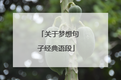 关于梦想句子经典语段