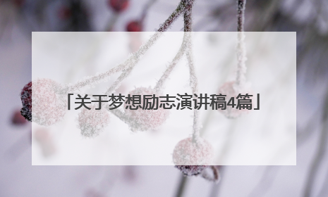 关于梦想励志演讲稿4篇