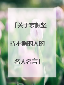 关于梦想坚持不懈的人的名人名言