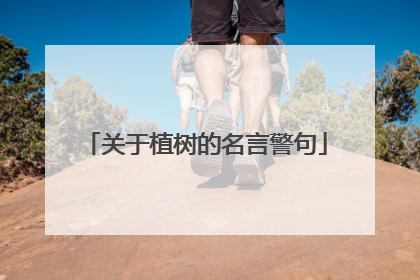 关于植树的名言警句
