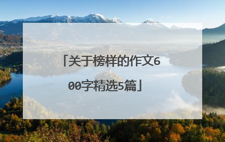 关于榜样的作文600字精选5篇