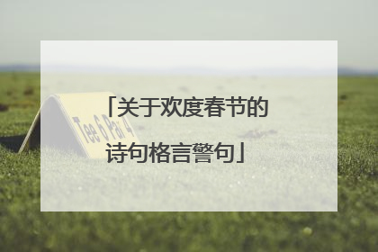 关于欢度春节的诗句格言警句