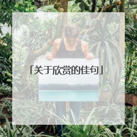 关于欣赏的佳句