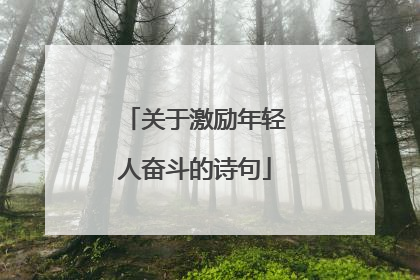 关于激励年轻人奋斗的诗句