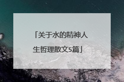关于水的精神人生哲理散文5篇