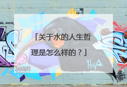 关于水的人生哲理是怎么样的？