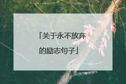 关于永不放弃的励志句子