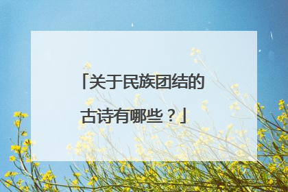 关于民族团结的古诗有哪些?