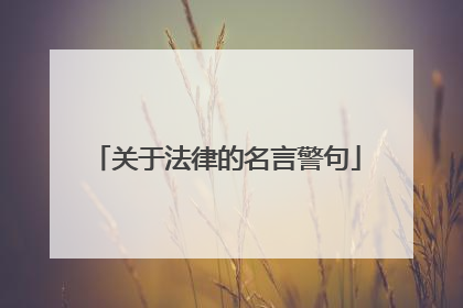 关于法律的名言警句