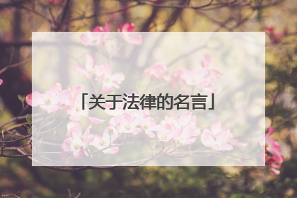 关于法律的名言