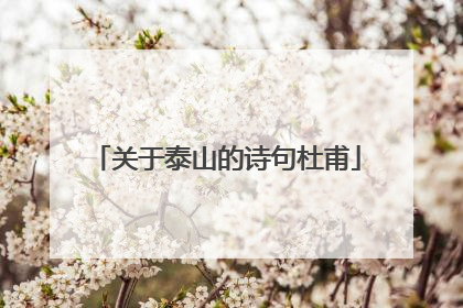 关于泰山的诗句杜甫