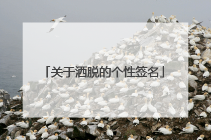 关于洒脱的个性签名