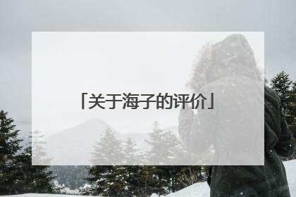 关于海子的评价
