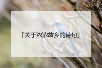 关于浓浓故乡的诗句