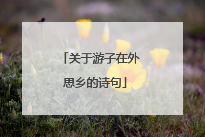 关于游子在外思乡的诗句