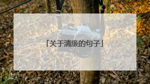 关于清廉的句子