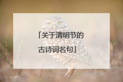 关于清明节的古诗词名句