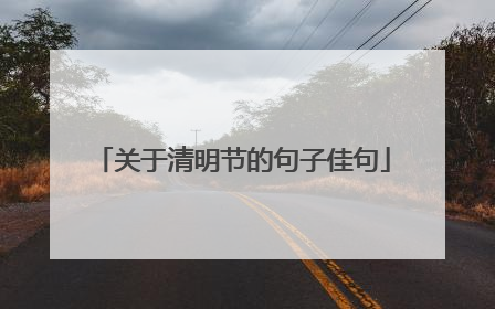 关于清明节的句子佳句