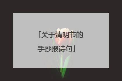关于清明节的手抄报诗句