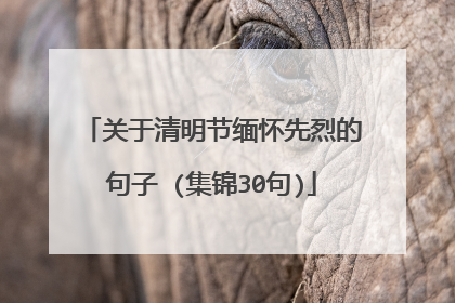 关于清明节缅怀先烈的句子 (集锦30句)