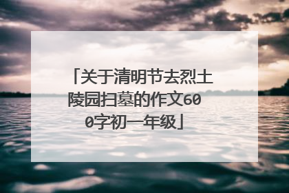 关于清明节去烈土陵园扫墓的作文600字初一年级