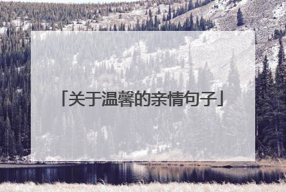关于温馨的亲情句子