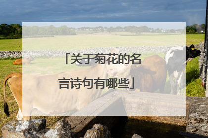 关于菊花的名言诗句有哪些