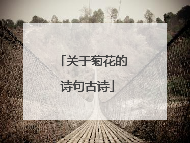 关于菊花的诗句古诗