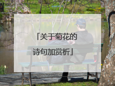 关于菊花的诗句加赏析