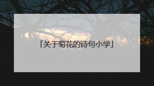 关于菊花的诗句小学