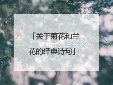 关于菊花和兰花的经典诗句
