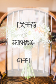 关于荷花的优美句子