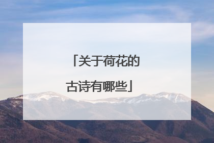 关于荷花的古诗有哪些