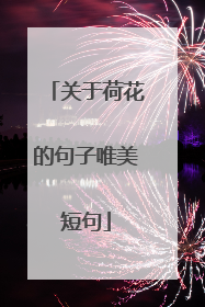 关于荷花的句子唯美短句