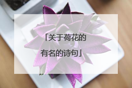 关于荷花的有名的诗句