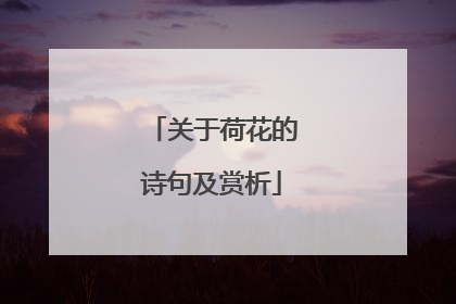 关于荷花的诗句及赏析