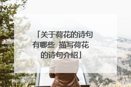 关于荷花的诗句有哪些 描写荷花的诗句介绍