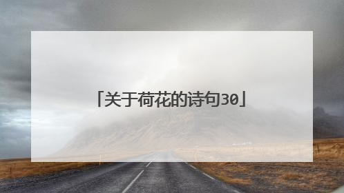 关于荷花的诗句30