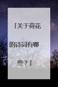 关于荷花的诗词有哪些?