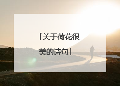 关于荷花很美的诗句