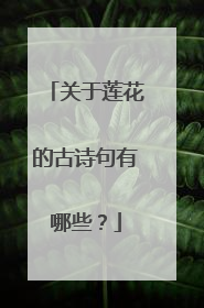 关于莲花的古诗句有哪些？