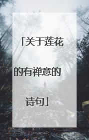 关于莲花的有禅意的诗句