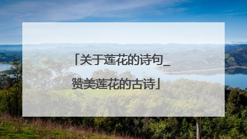 关于莲花的诗句_赞美莲花的古诗