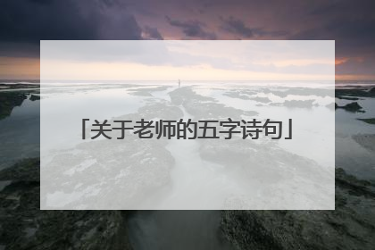 关于老师的五字诗句